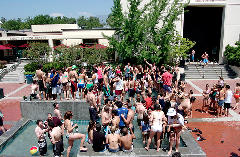 Camp Sec Officer Turned On By Thesis Party
