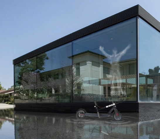 Bird Crashes Into Cube