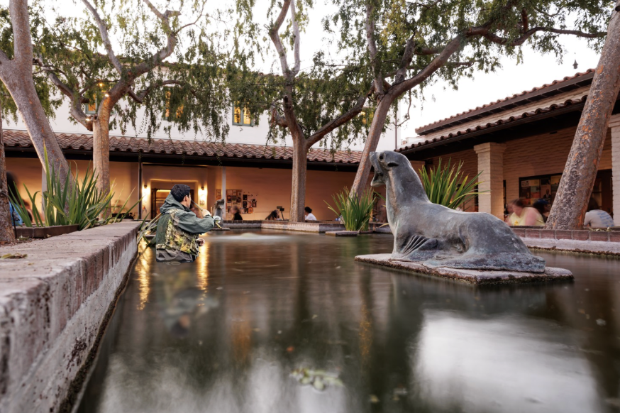 I Was Called a Foreign Term at the Scripps Koi Pond and I Will Not Be Silent 