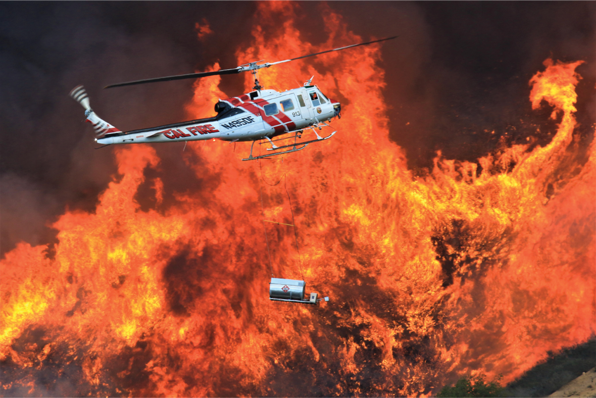 I’m the TSL, a real newspaper! Use me to start a fire!