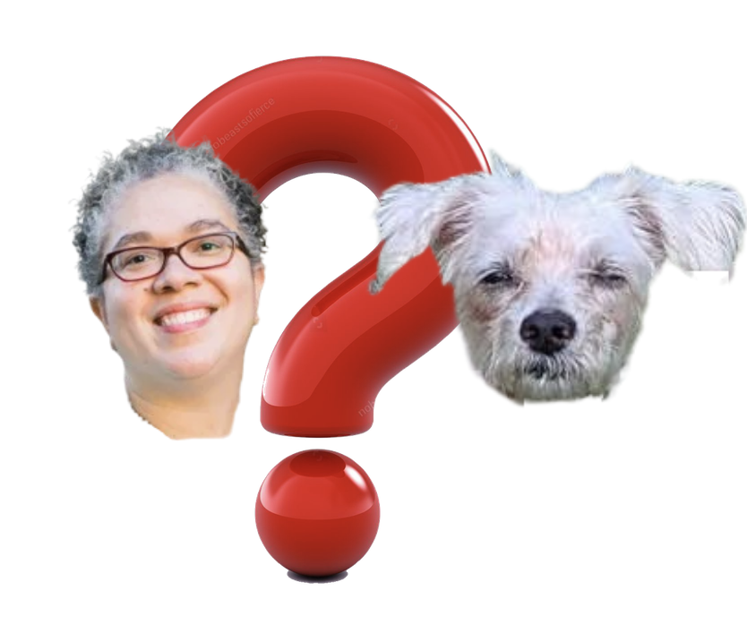 Quiz! Gabi Starr or Her Loud Little Dog?